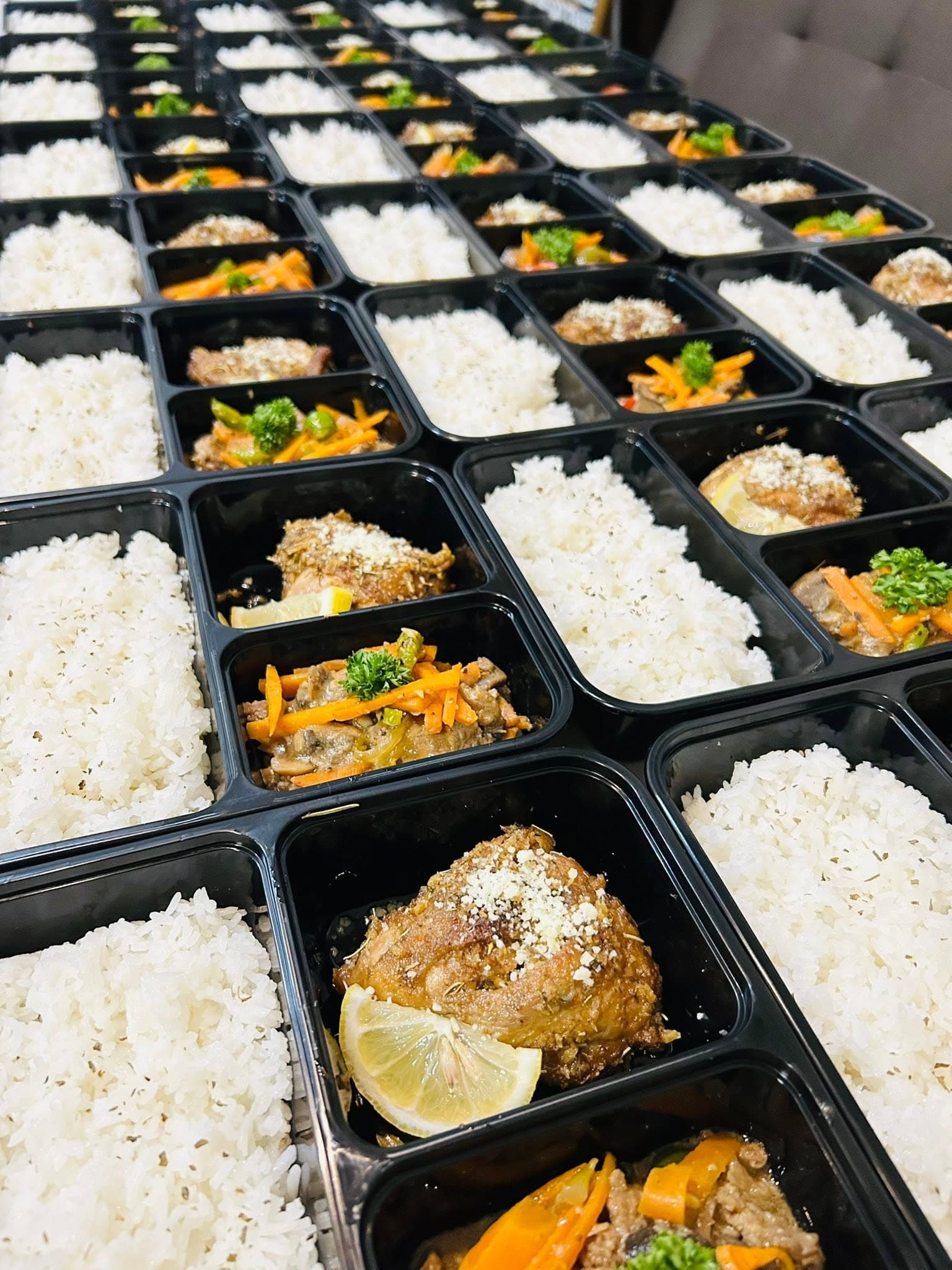 Rows of carefully prepared individual packed meals